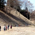 多くの福寿草群生地見物観光客