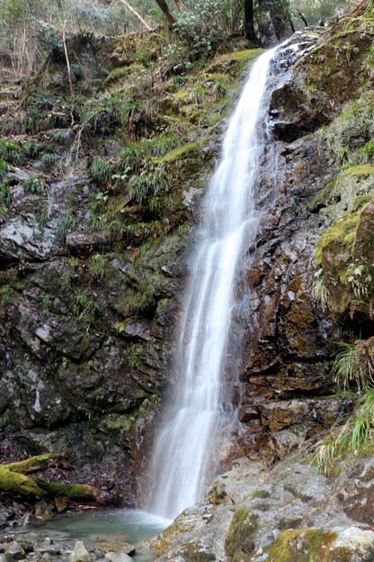 写真: 落差直瀑約１０メートルの浄心の瀧