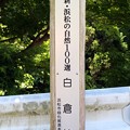 新・浜松の自然１００選「白倉峡」