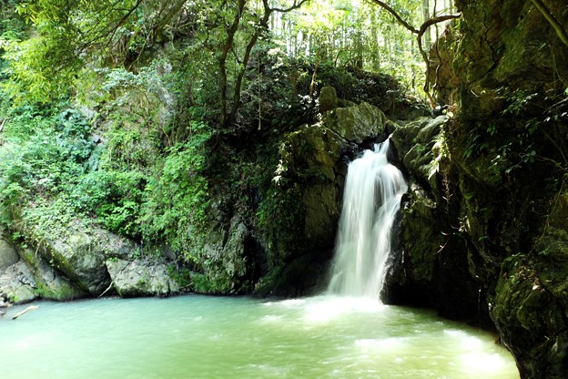 写真: 周囲が緑に囲まれた隠れスポット「仙巌の滝」