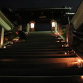 写真: 温泉寺参道階段に灯籠の灯り