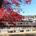 紅葉と飯田線