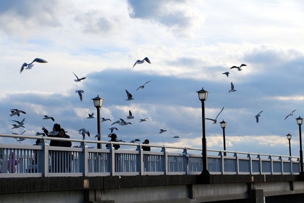 写真: 竹島橋の観光客