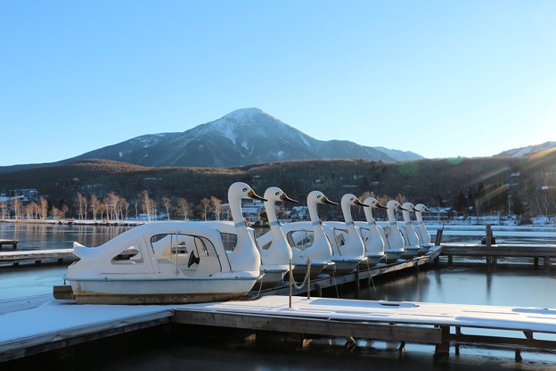 写真: 蓼科山と白樺湖の白鳥ボート
