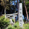 写真: 竹生神社石碑