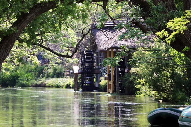写真: 蓼川の水車