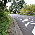 写真: 愛知県道４３９号線沿い