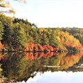 白駒の池の紅葉景観