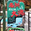 写真: 「名所原生苔と大滝」案内