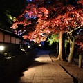 長円寺参道のライトアップ