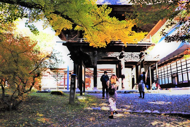 写真: 霊松寺見物観光客