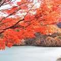 もみじ湖と紅葉
