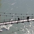 つつじ吊り橋の観光客