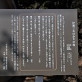 「伊那三女ゆかりの桜」解説
