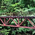 写真: 旧森林鉄道橋
