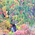 写真: 横谷渓谷の横谷王滝を望む