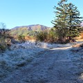 写真: 霜の散策路