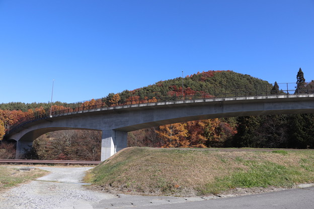 写真: 高架橋道路・県道17号線