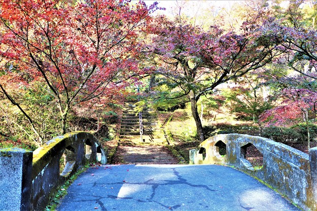 写真: 紅葉のトンネル