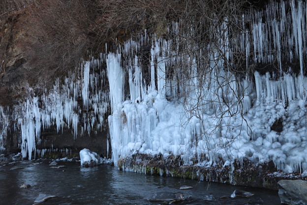 写真: 崖下にできた氷柱