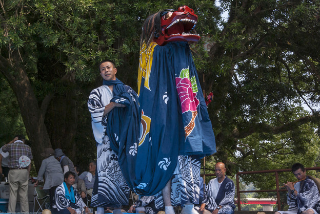 Photos: 平成２６年・河内祭本祭午後６