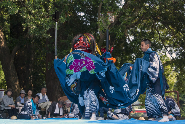 Photos: 平成２６年・河内祭本祭午後１０