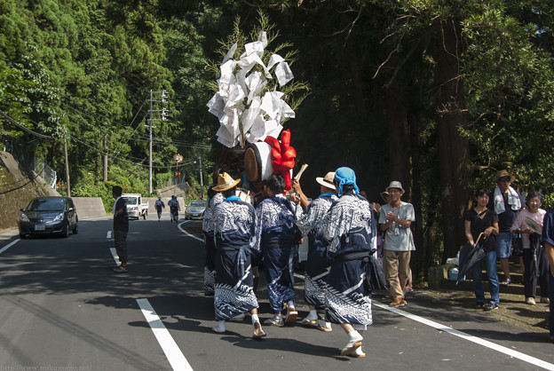 Photos: 平成２６年・河内祭本祭午後１２