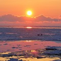 写真: 氷海落日２