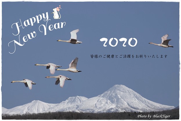写真: 2020 Happy New Year