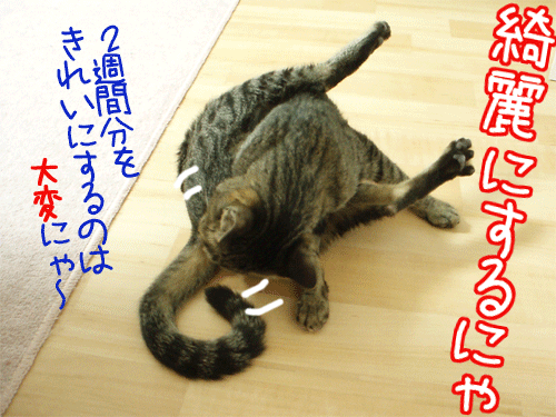 080620-【猫アニメ】きれいにするにゃ！