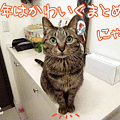 Photos: 120401-【猫アニメ】桜が咲いたにゃ♪