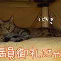 081112-【猫アニメ】入場制限ちぅにゃ〜