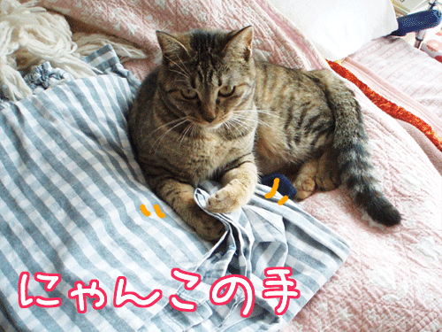 写真: 090420-【猫アニメ】にゃんこの手、出動にゃ！