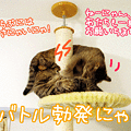 写真: 090513-【猫アニメ】バトル勃発にゃ！