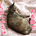 写真: 090517-【猫アニメ】お昼寝ちぅにゃ〜♪