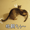 写真: 091229-【猫アニメ】格闘ちぅにゃ〜