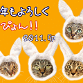 110101-【猫アニメ】あけおめぴょん！