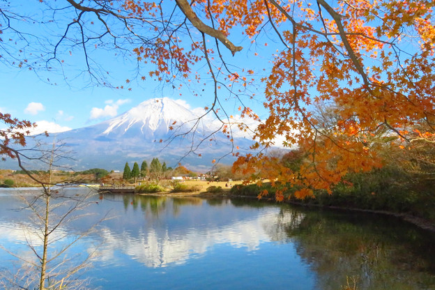 写真: 終秋の田貫湖。