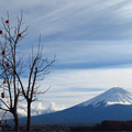 残り柿と富士のお山。
