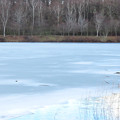 Photos: 凍える湖。