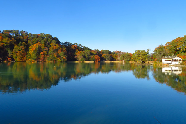 写真: 秋のブルー、松原湖。