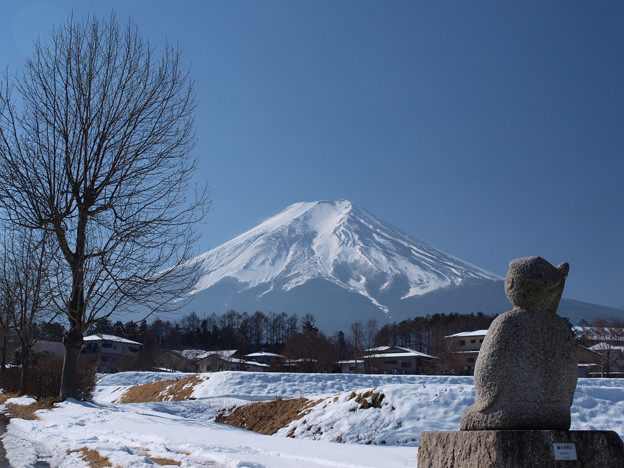 写真: 節分にも富士山見ている像。