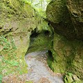 写真: 苔の洞門