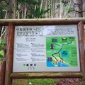 中島国有林