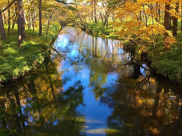 写真: 川は秋色♪