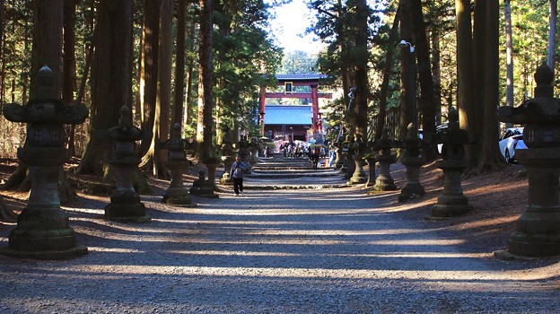 写真: 浅間神社の参道