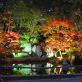 写真: しあわせの村日本庭園