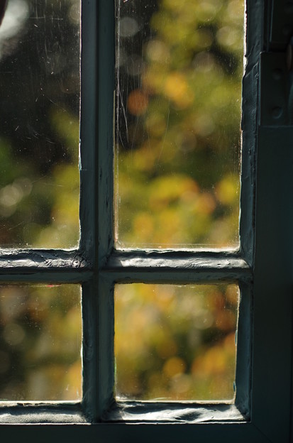 写真: 窓越しの秋色