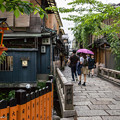 the beautiful street in Kyoto, Shirakawa Dori Kyoto