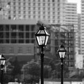 写真: 横浜の瓦斯灯